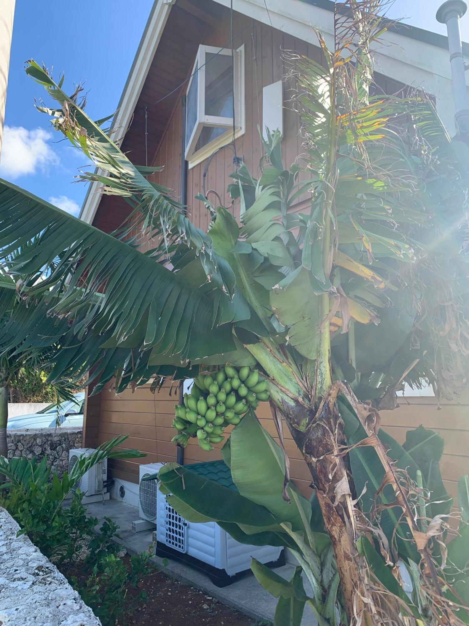 島ログ Villa Miyakojima  Dış mekan fotoğraf