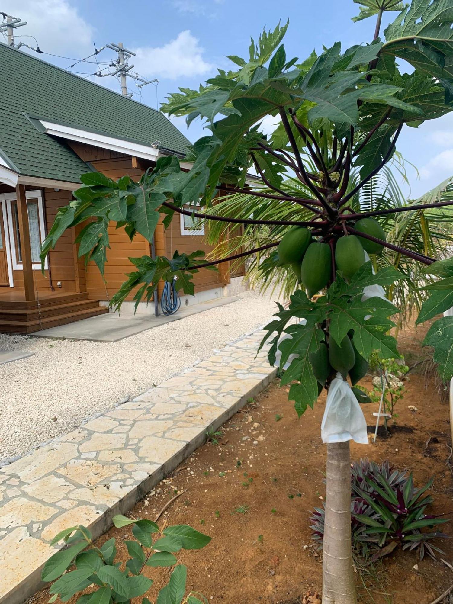 島ログ Villa Miyakojima  Dış mekan fotoğraf